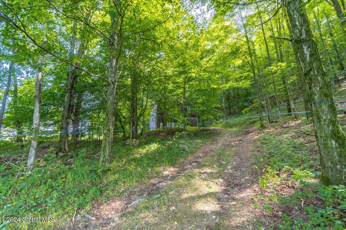 258 Blossom Road Hebron, NY 12832 - Photo 16 of 23 10-258 Blossom Rd-10