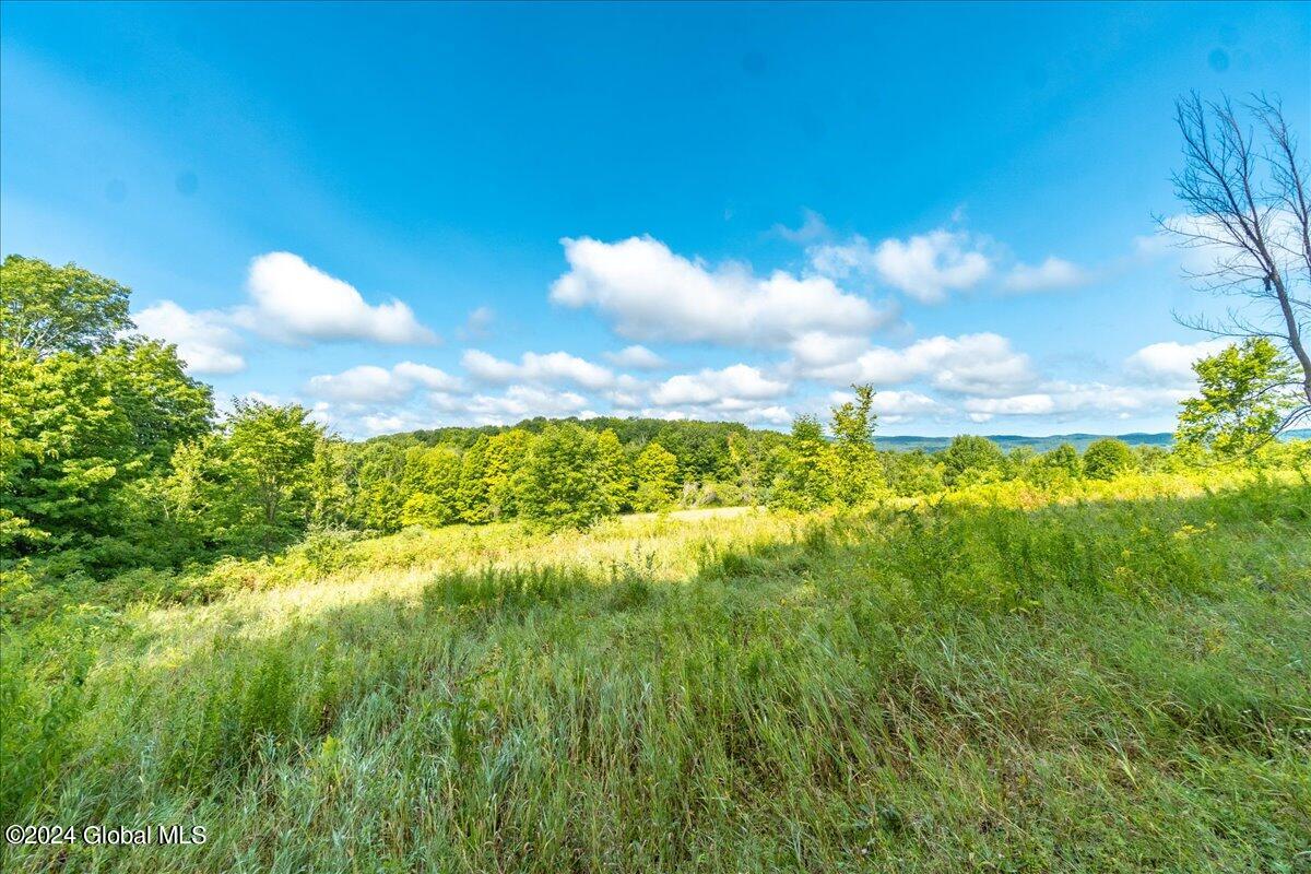 03-258 Blossom Rd-3