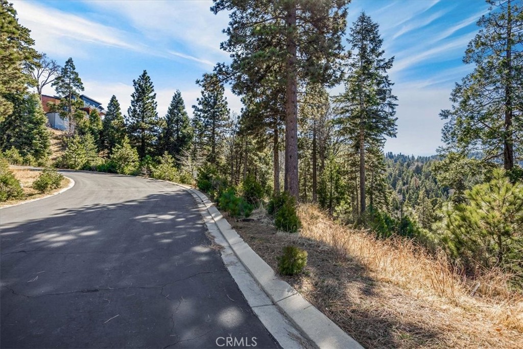 109 Mill Pond Road Lake Arrowhead, CA 92352 - Photo 33 of 43