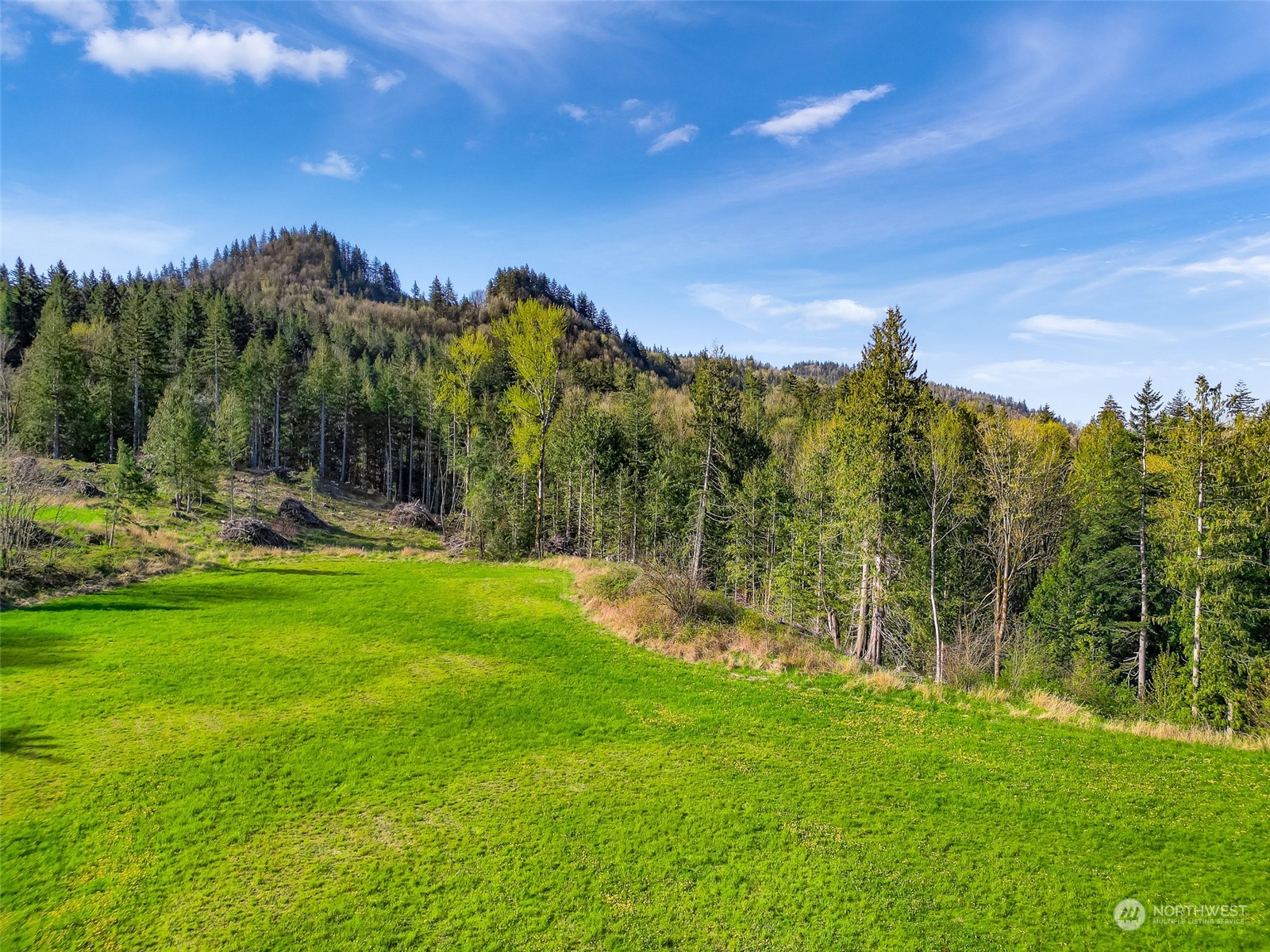 4731 Reese Hill Road Sumas, WA 98295 - Photo 11 of 25 a view of a park with a tree in the background