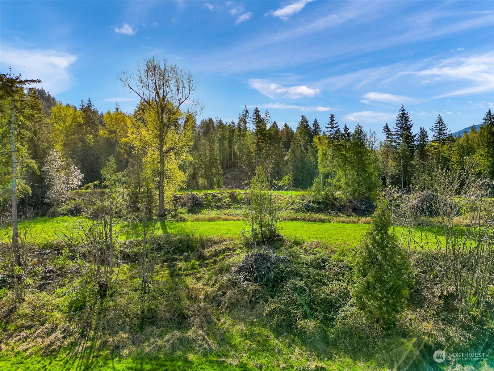 4731 Reese Hill Road Sumas, WA 98295 - Photo 12 of 25 a view of lake with green space