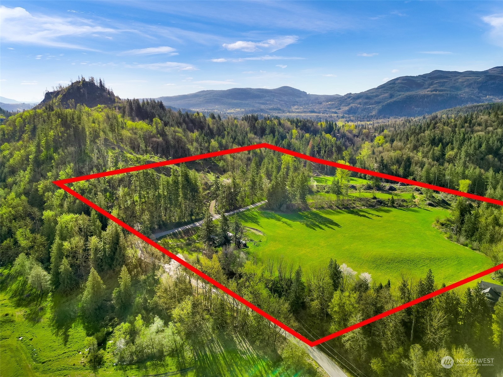 4731 Reese Hill Road Sumas, WA 98295 - Photo 14 of 25 a view of a lush green hillside and a flower garden