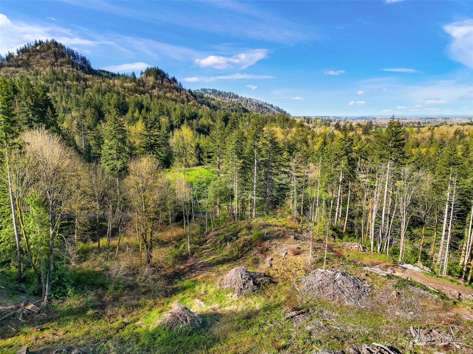 4731 Reese Hill Road Sumas, WA 98295 - Photo 16 of 25 a view of a large yard with large trees