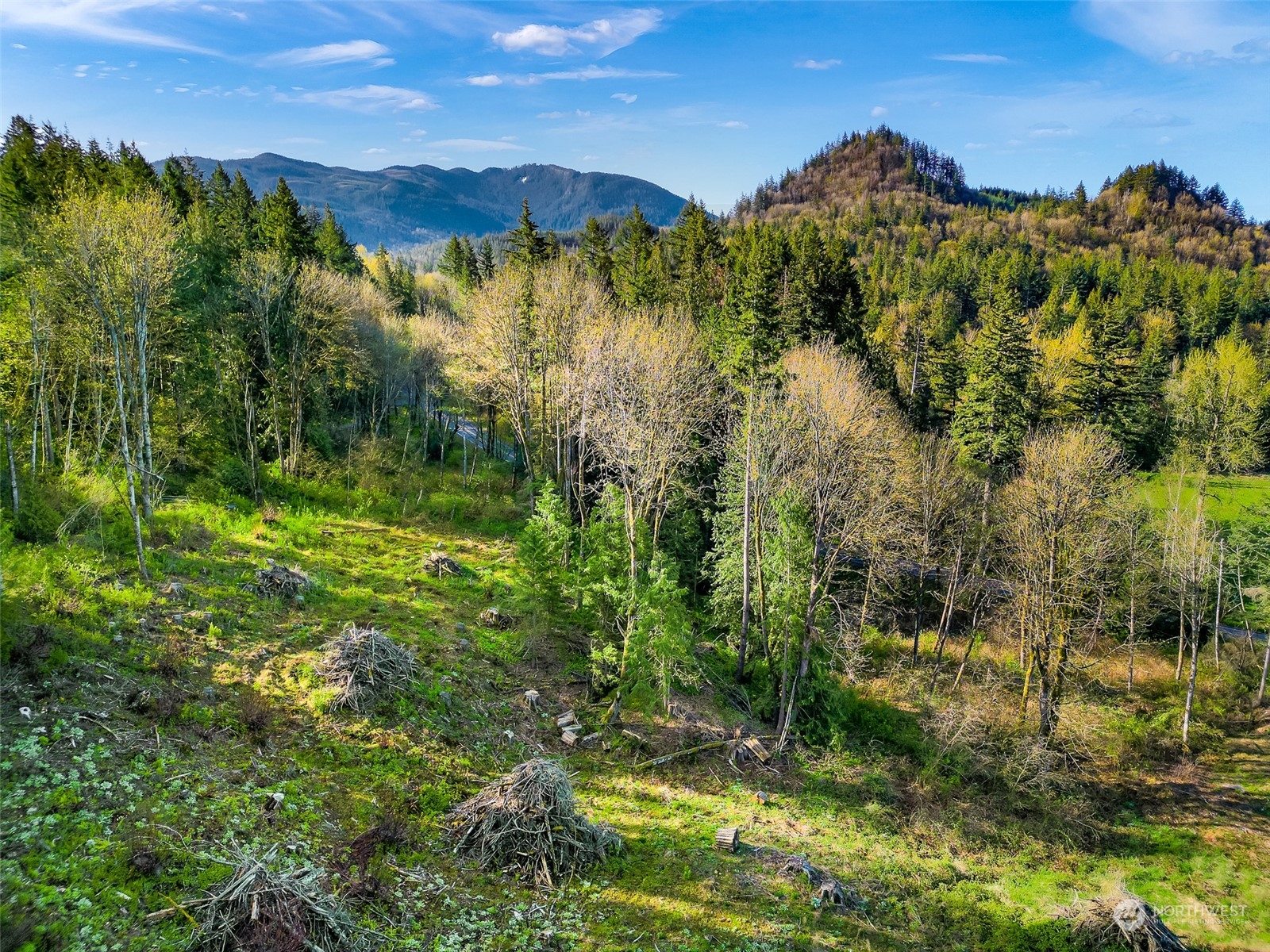4731 Reese Hill Road Sumas, WA 98295 - Photo 17 of 25 a view of a lush green forest with houses