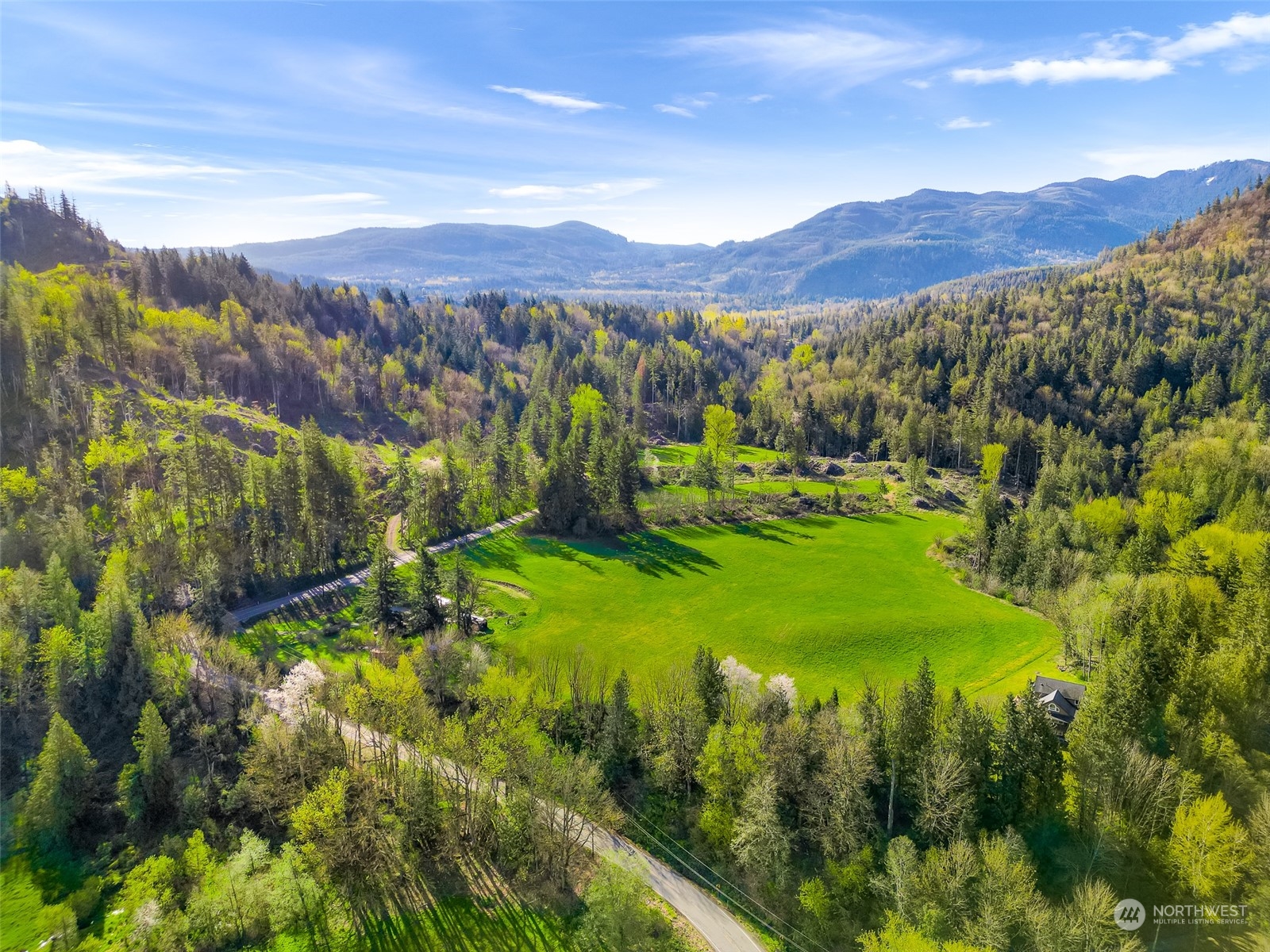4731 Reese Hill Road Sumas, WA 98295 - Photo 19 of 25 a view of a lush green hillside and houses
