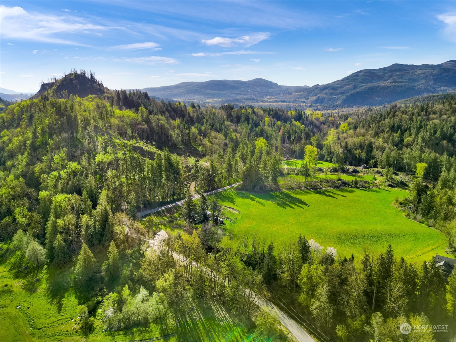 4731 Reese Hill Road Sumas, WA 98295 - Photo 20 of 25 a view of a lush green hillside and houses