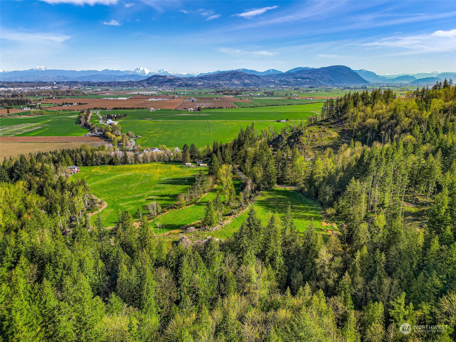 4731 Reese Hill Road Sumas, WA 98295 - Photo 24 of 25 a view of a city with lush green forest