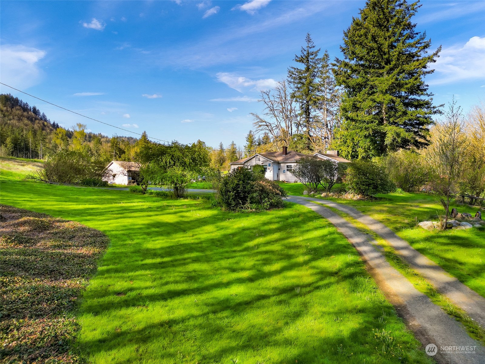 4731 Reese Hill Road Sumas, WA 98295 - Photo 25 of 25 a view of a grassy field with trees