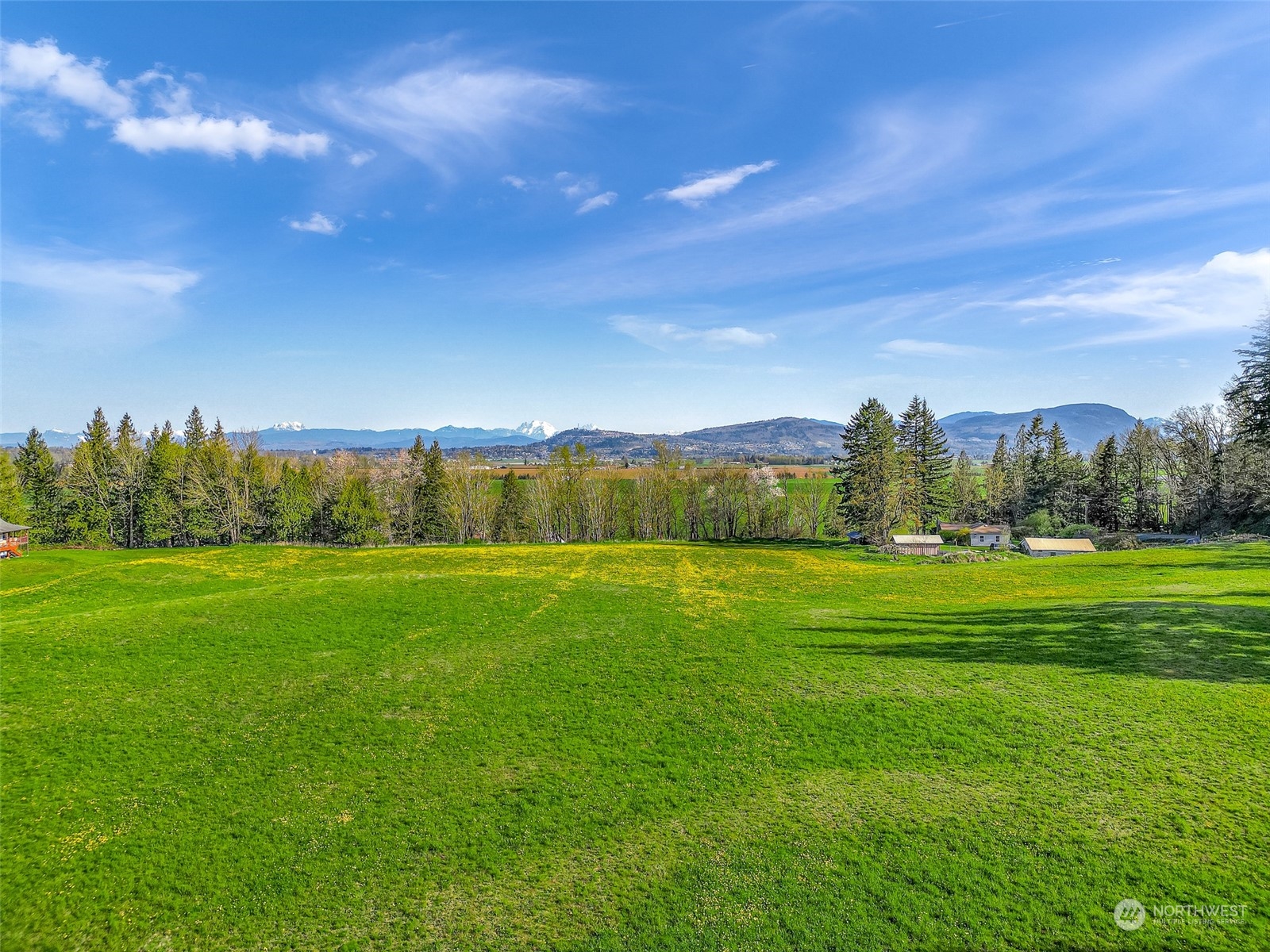 4731 Reese Hill Road Sumas, WA 98295 - Photo 9 of 25 a view of grassy field with mountain