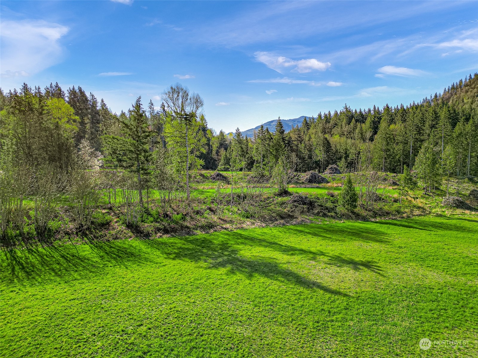 4731 Reese Hill Road Sumas, WA 98295 - Photo 10 of 25 a view of a city with lush green forest