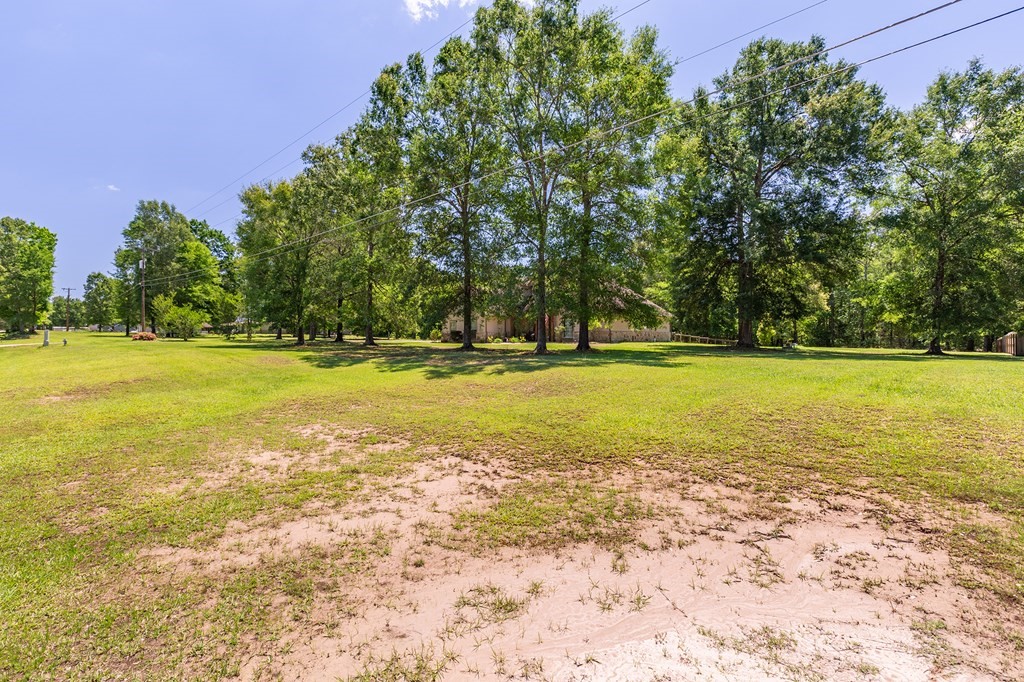 1171 Old Ewing Road Lufkin, TX 75901 - Photo 46 of 49 a view of a water with large trees