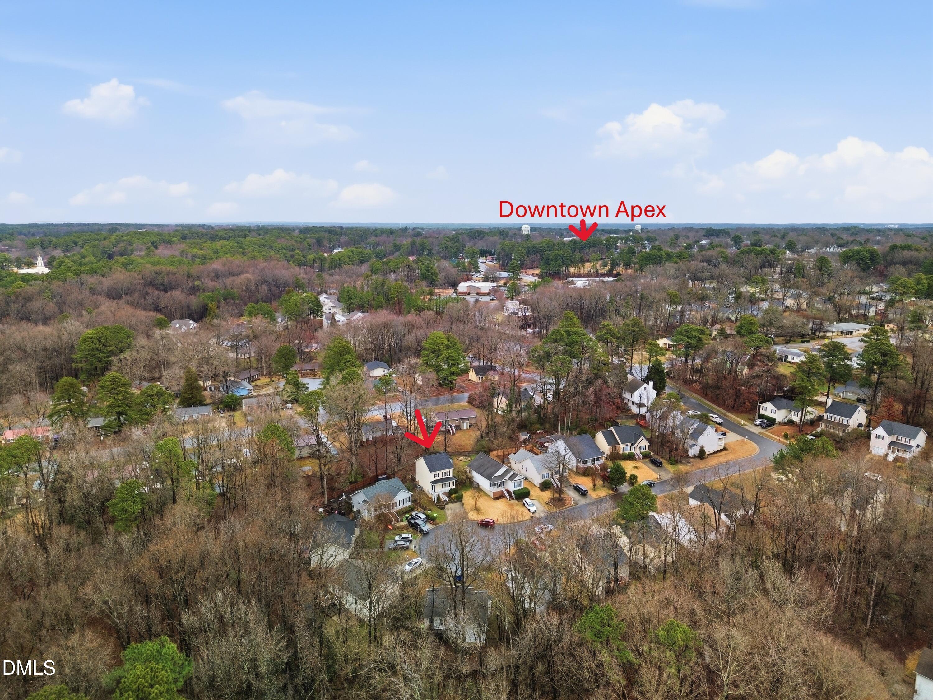 111 Lemon Drop Circle Apex, NC 27502 - Photo 22 of 23 DJI_0437