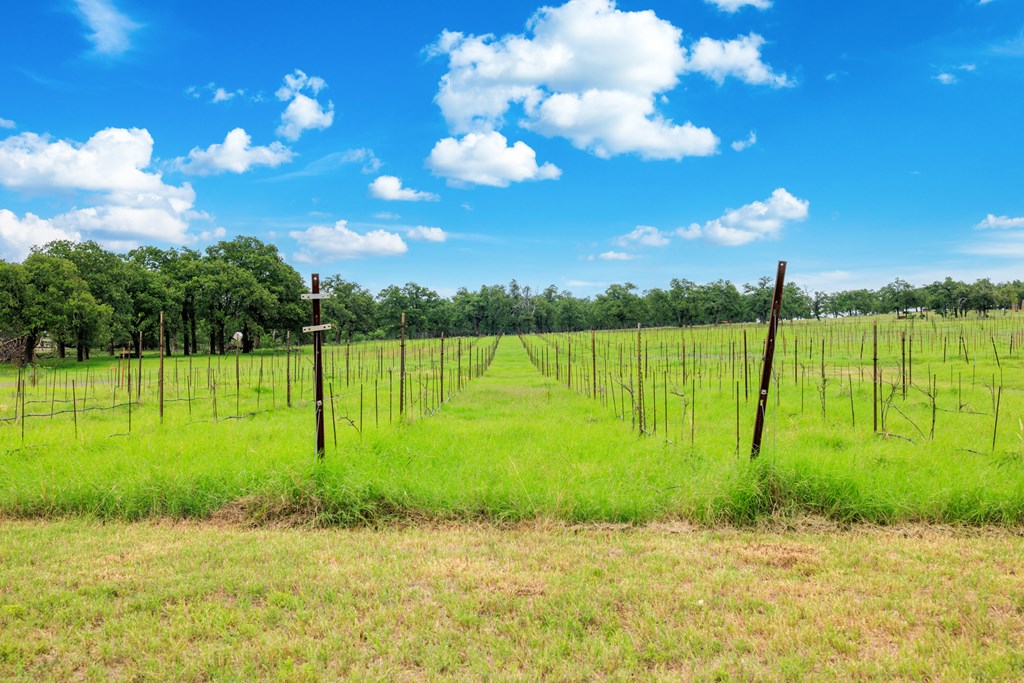 463 Bell Mountain Road Willow City, TX 78675 - Photo 12 of 27