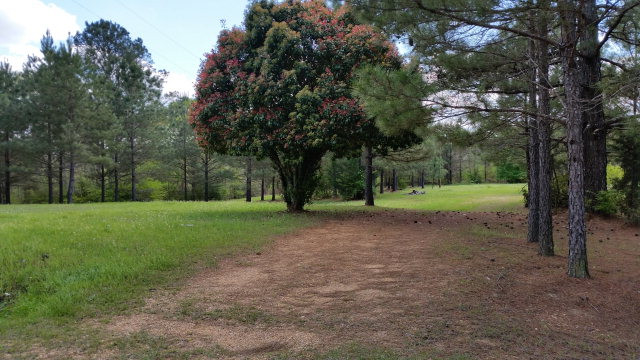 1072 Fred Bacot Road Summit, MS 39666 - Photo 1 of 1 Main View