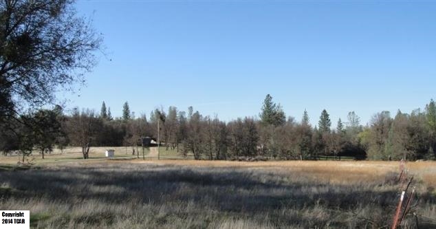 9040 Sheep Ranch Mountain Ranch, CA 95246 - Photo 2 of 3 a view of a outdoor space with trees all around
