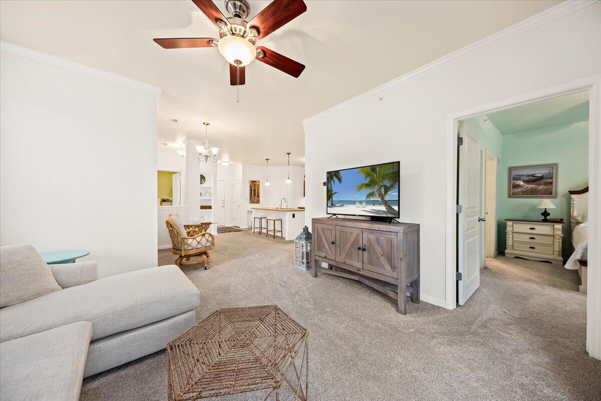 600 Bucksley Lane, Unit 308 Charleston, SC 29492 - Photo 17 of 28 Bucksley TV