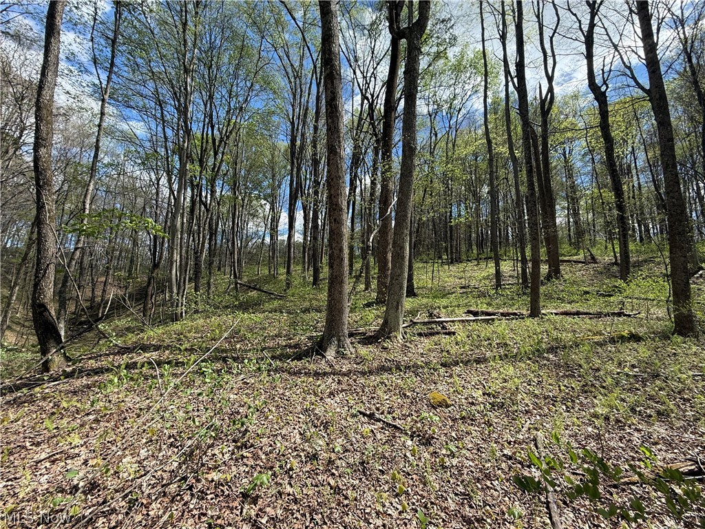 Plainview Road Woodsfield, OH 43793 - Photo 15 of 20