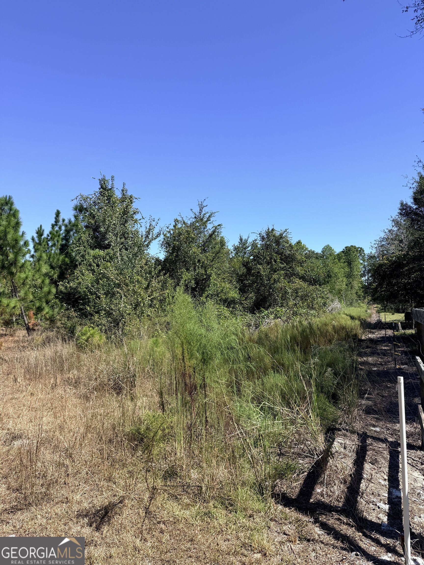 0 Altamaha Road Hazlehurst, GA 31539 - Photo 7 of 10 Gallery Image 7