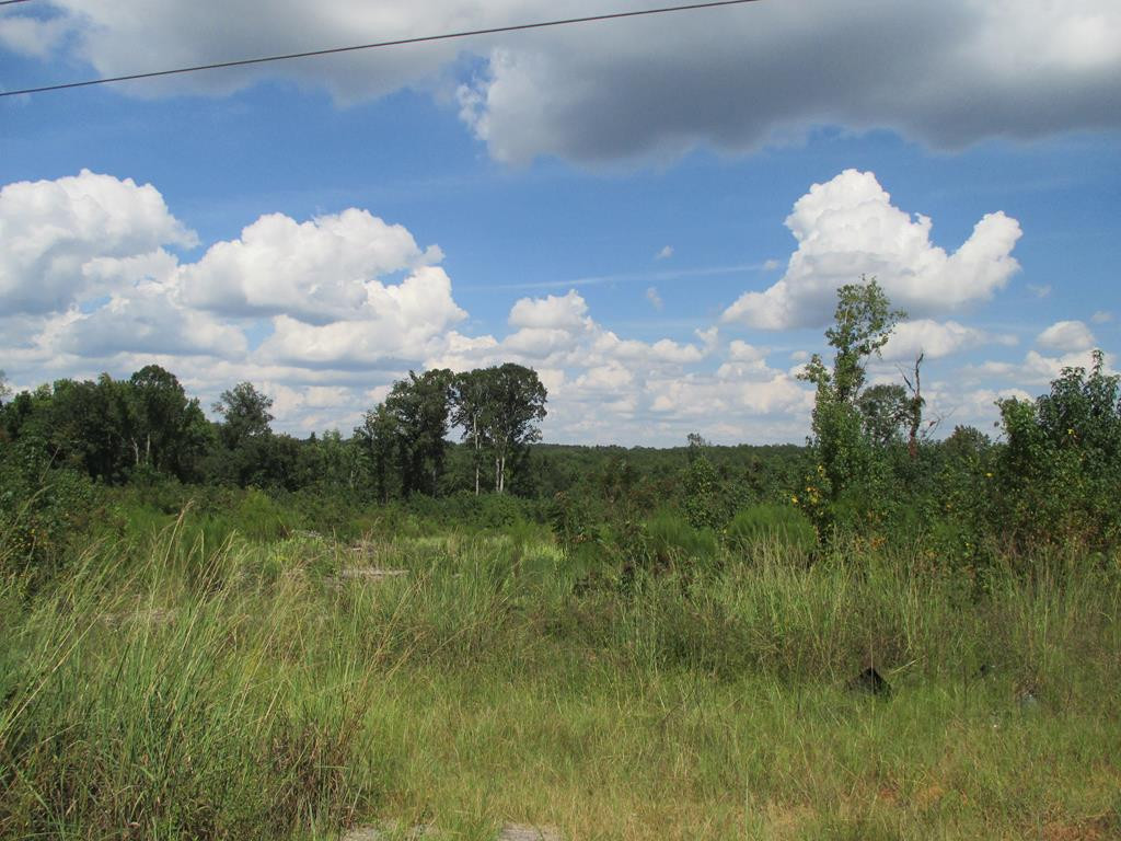 0 Seymour Road Dalzell, SC 29040 - Photo 1 of 1 Gallery Image 1