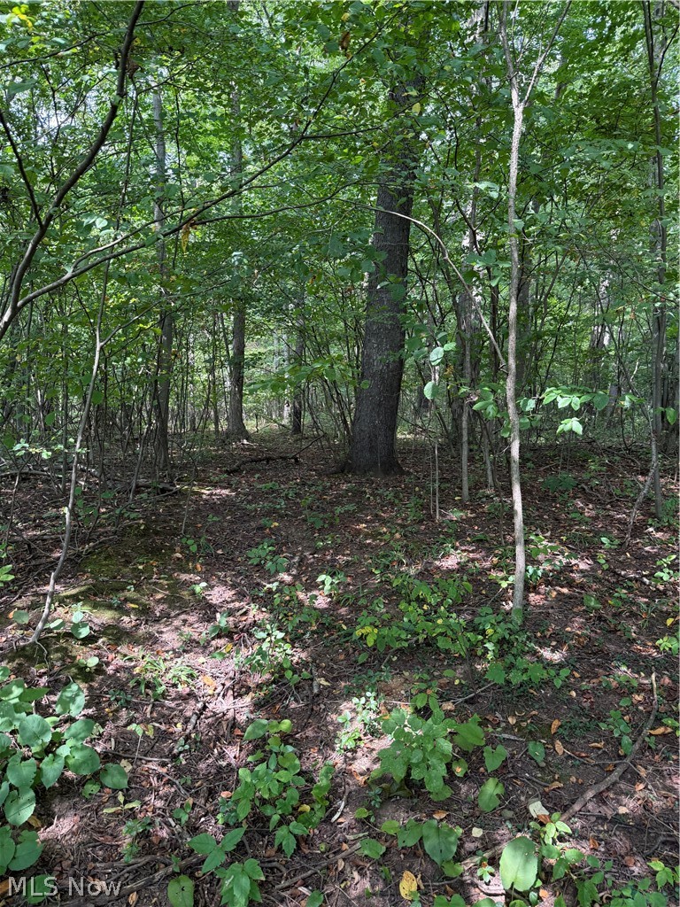 6951-7151 Woodard Road Andover, OH 44003 - Photo 10 of 12 Gallery Image 10