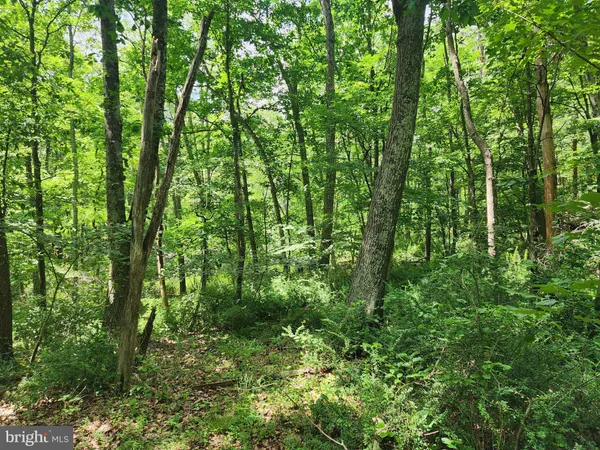 $15,000 | Lot 1 Nathaniel Mountain Heights, Romney, WV 26757