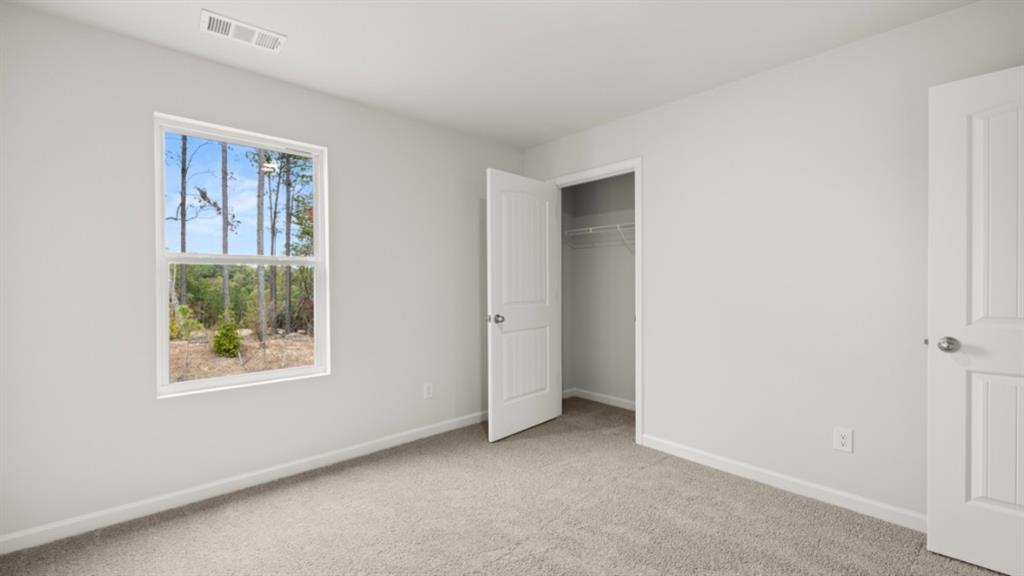 115 Cyrilla Walk Dallas, GA 30132 - Photo 28 of 44