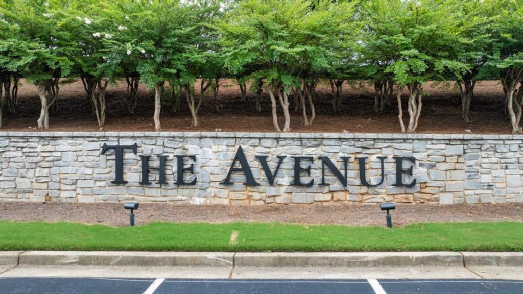 115 Cyrilla Walk Dallas, GA 30132 - Photo 39 of 44