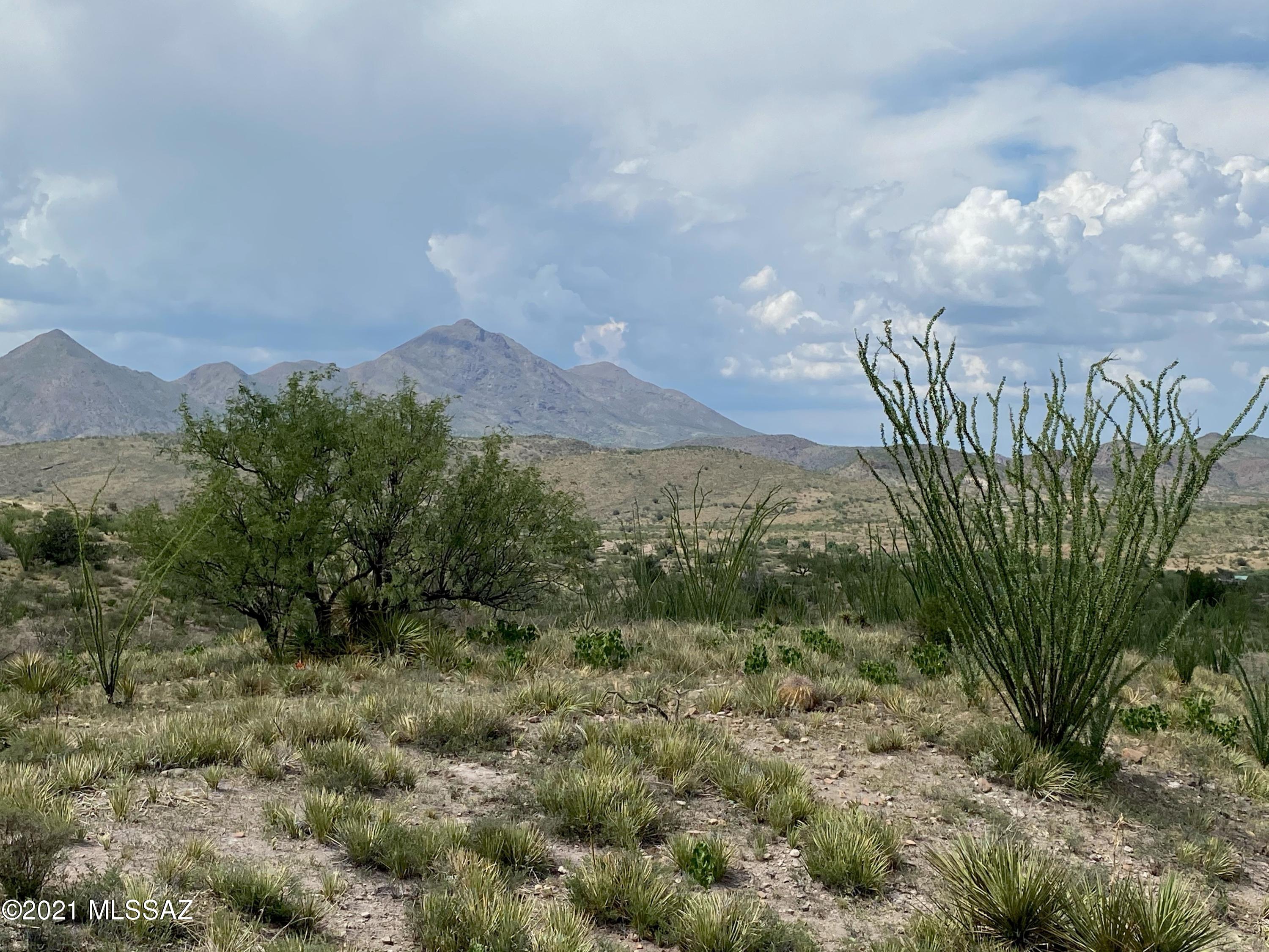 Tbd Tbd Camino Real, Unit 85/2 Rio Rico, AZ 85648 - Photo 9 of 28