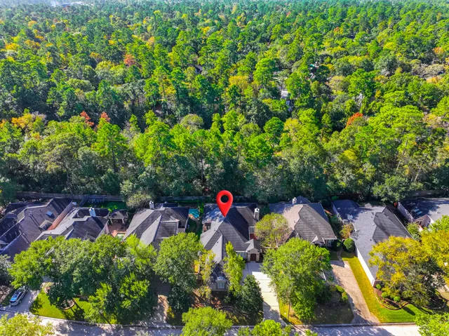 view of outdoor space with lots of trees