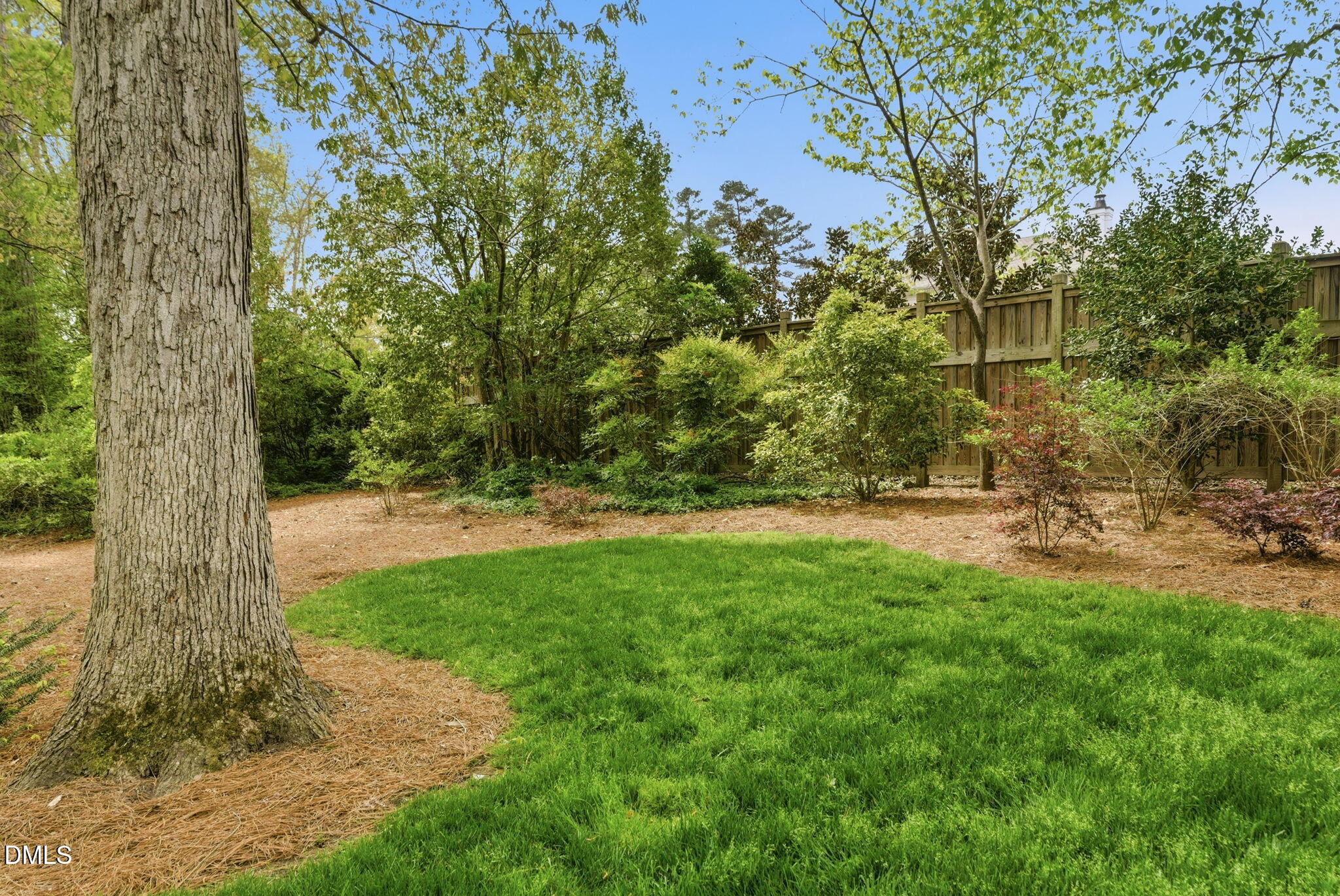 3910 Plymouth Road Durham, NC 27707 - Photo 84 of 100 Beautiful Landscaping