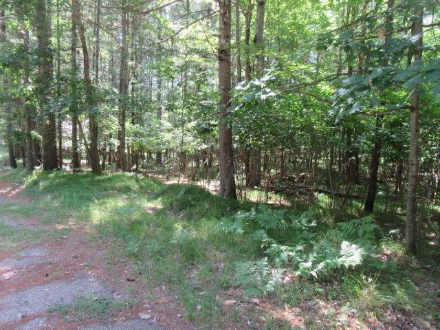 On Airport Road, Unit LOT 26 Woodruff, WI 54568 - Photo 4 of 9 Gallery Image 4
