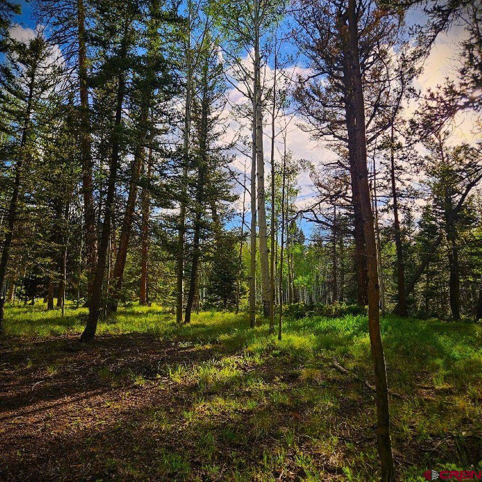 160 Lake Road Cimarron, CO 81220 - Photo 15 of 16