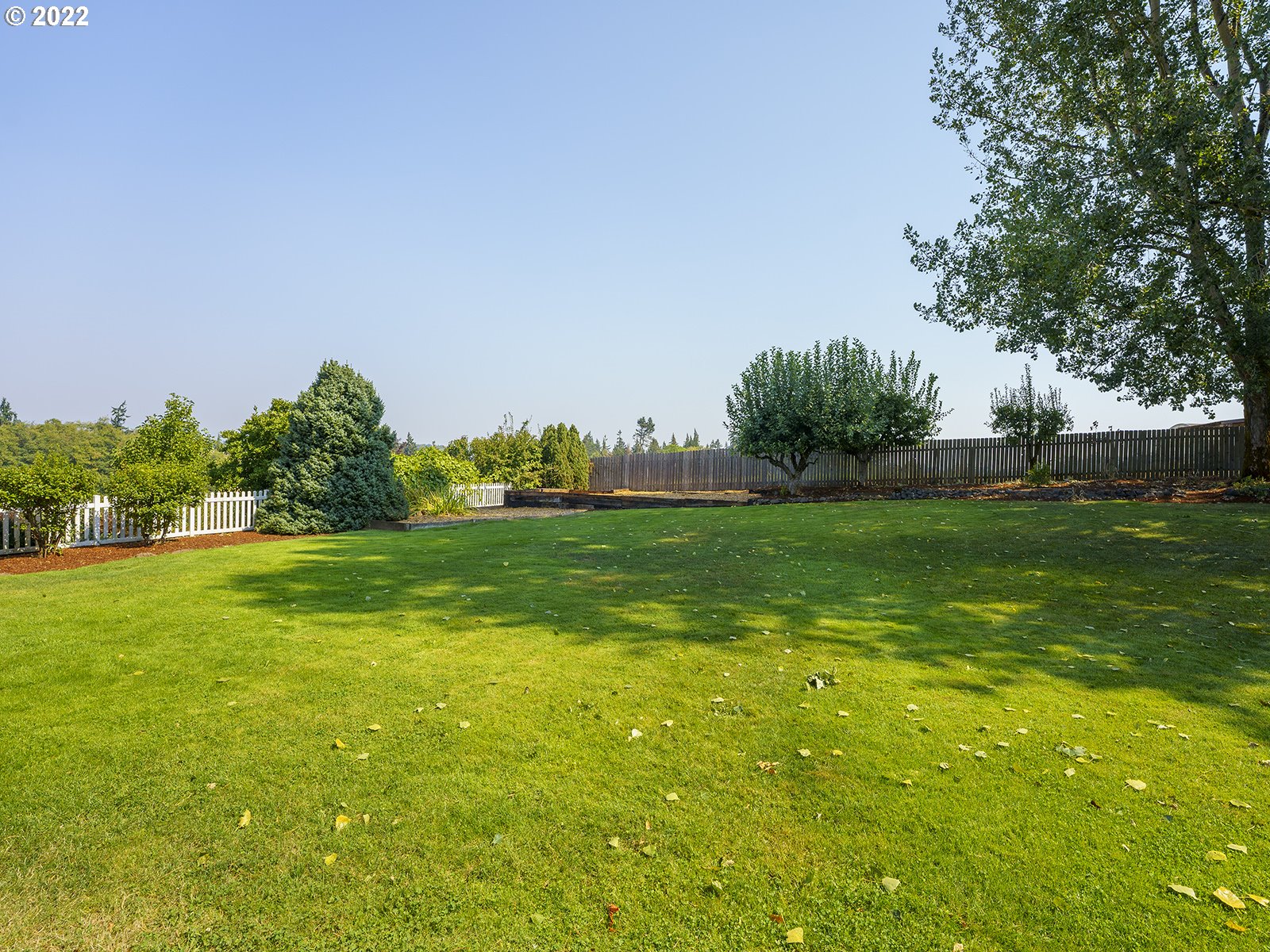 2286 South 31st Court Ridgefield, WA 98642 - Photo 23 of 31 a yard with lots of green space and trees all around