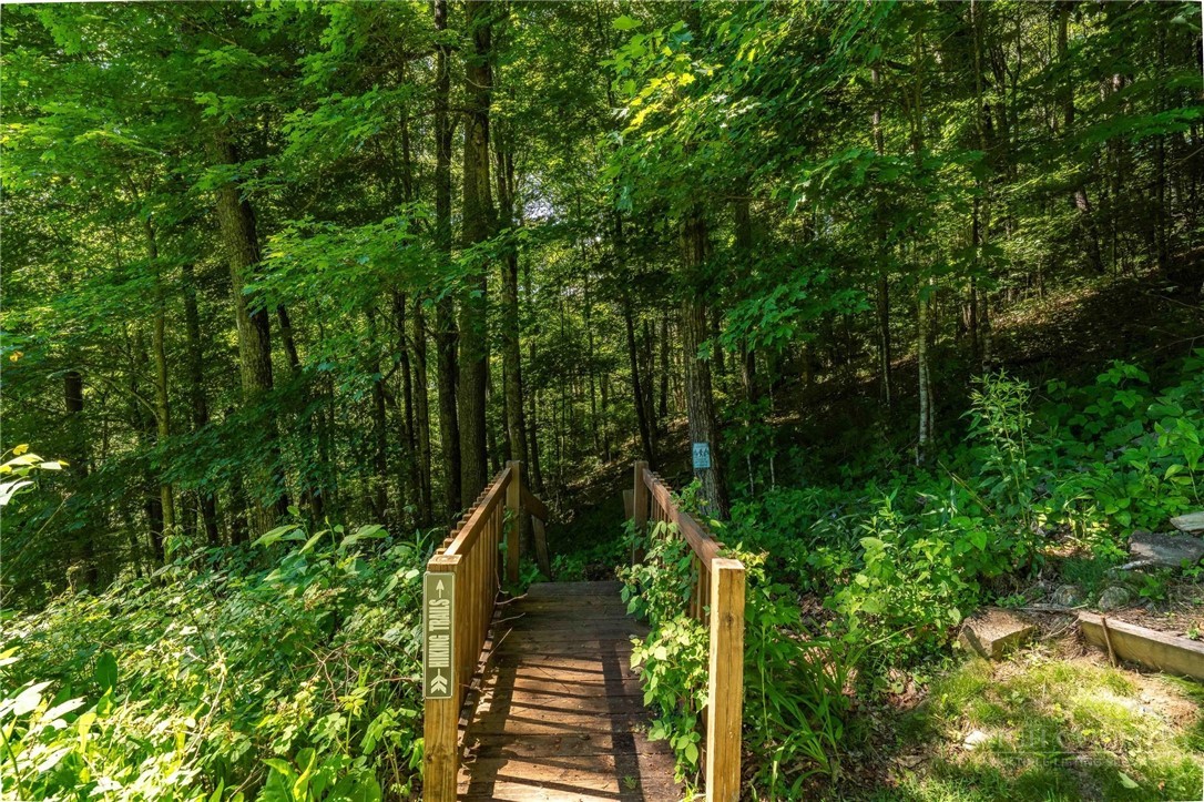 1260 Fork Ridge Road Zionville, NC 28698 - Photo 41 of 50