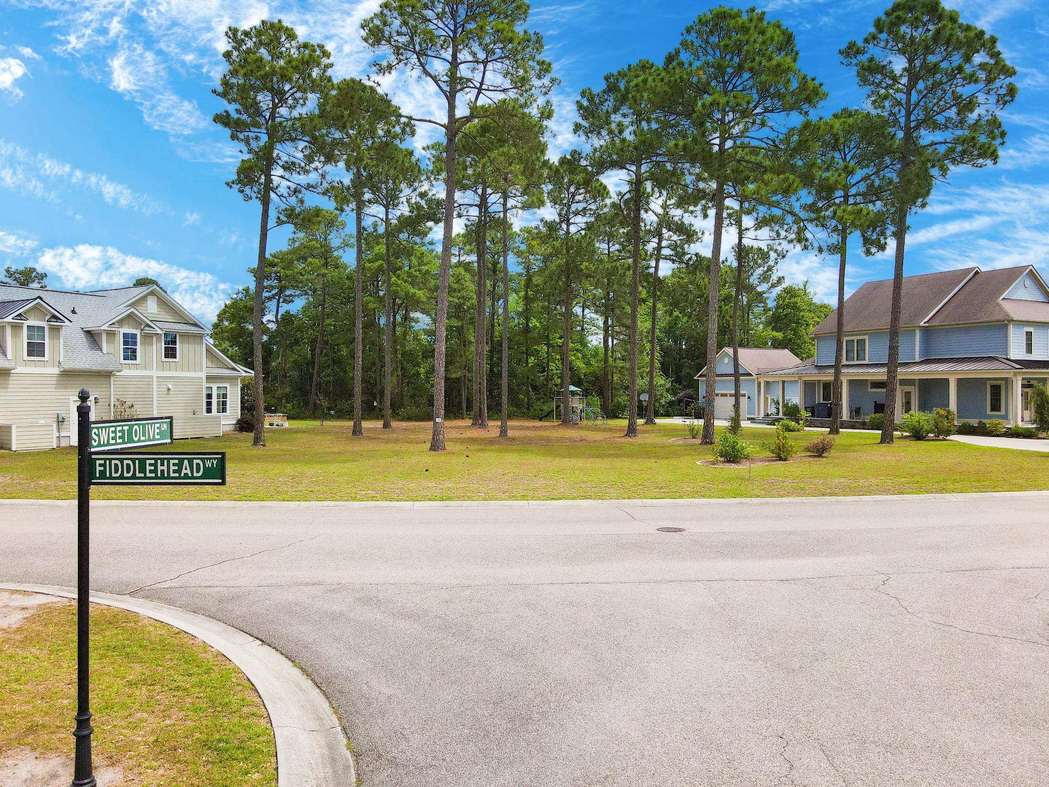1058 Fiddlehead Way Myrtle Beach, SC 29579 - Photo 9 of 32 Gallery Image 9