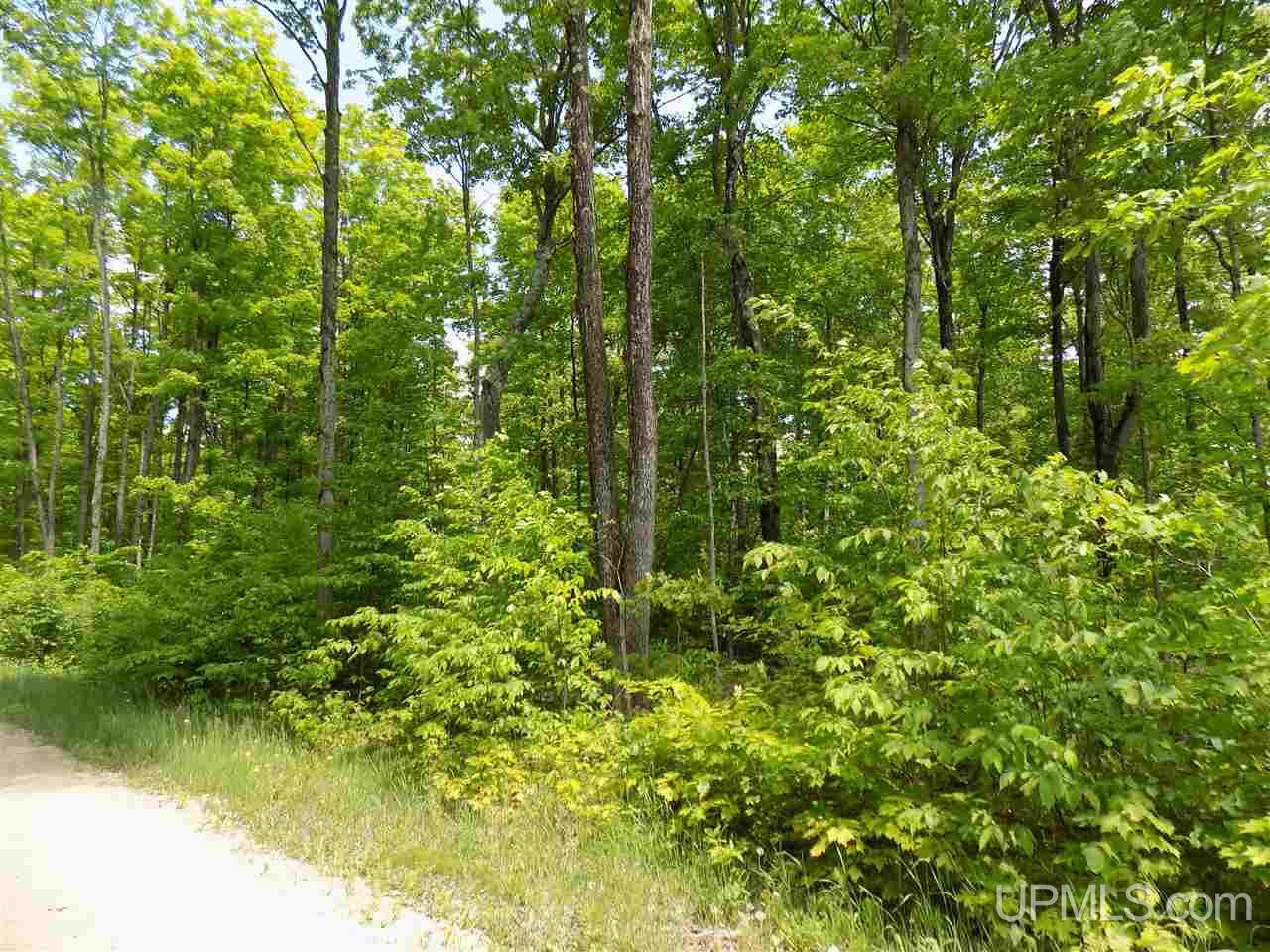 Tbd Aldrich Road Manistique, MI 49854 - Photo 8 of 11 Gallery Image 8