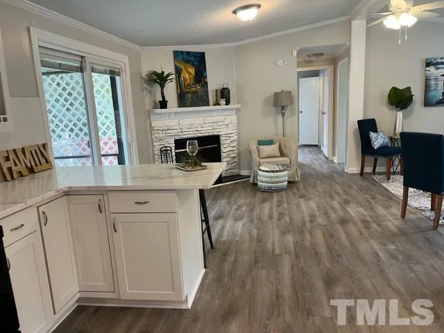 a living room with furniture and a fireplace