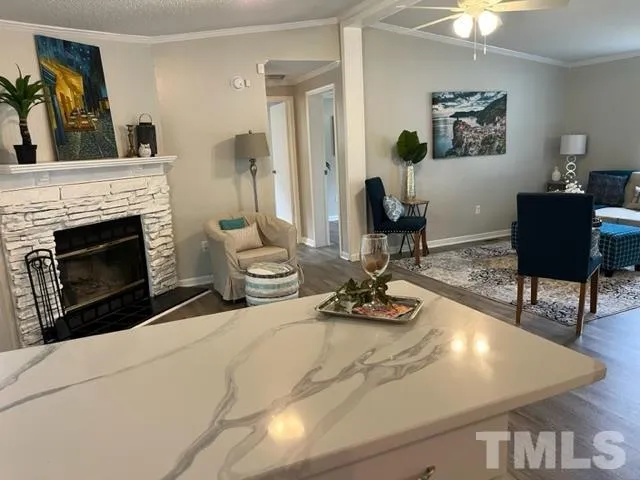 a living room with furniture and a fireplace