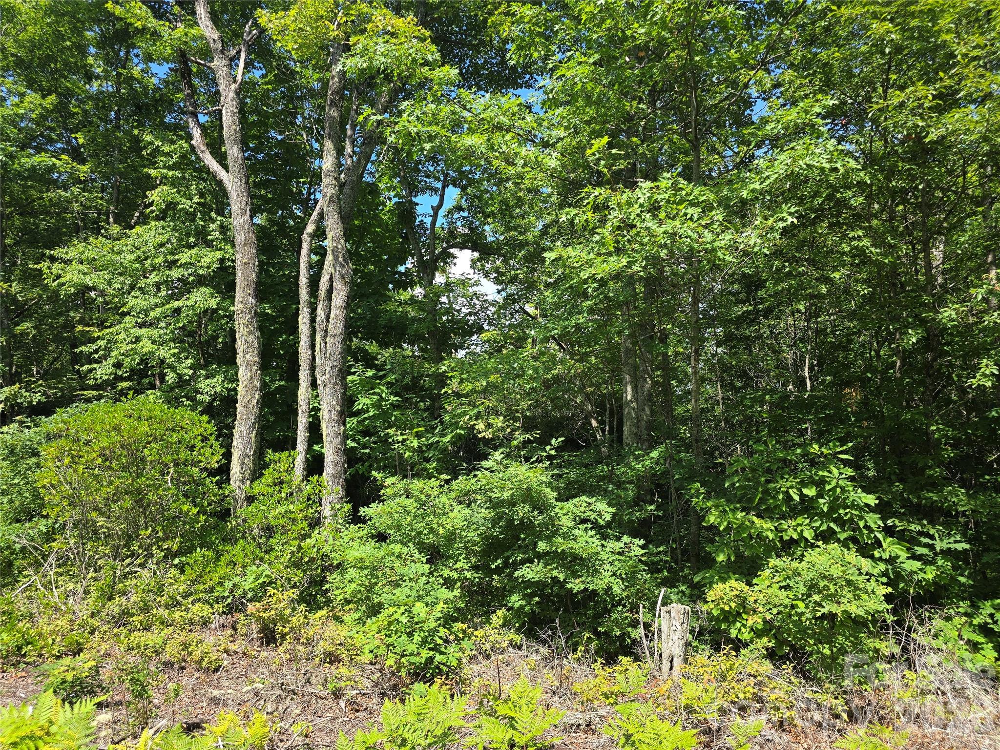 0 Nancy Mountain Road Rosman, NC 28772 - Photo 29 of 34