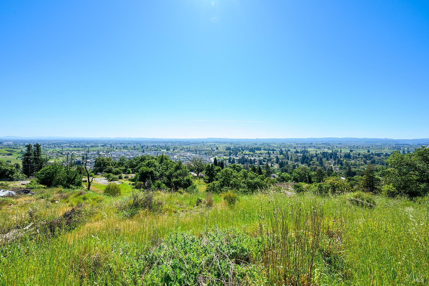1111 Wikiup Drive Santa Rosa, CA 95403 - Photo 6 of 15 a view of a green field with lots of plants in it