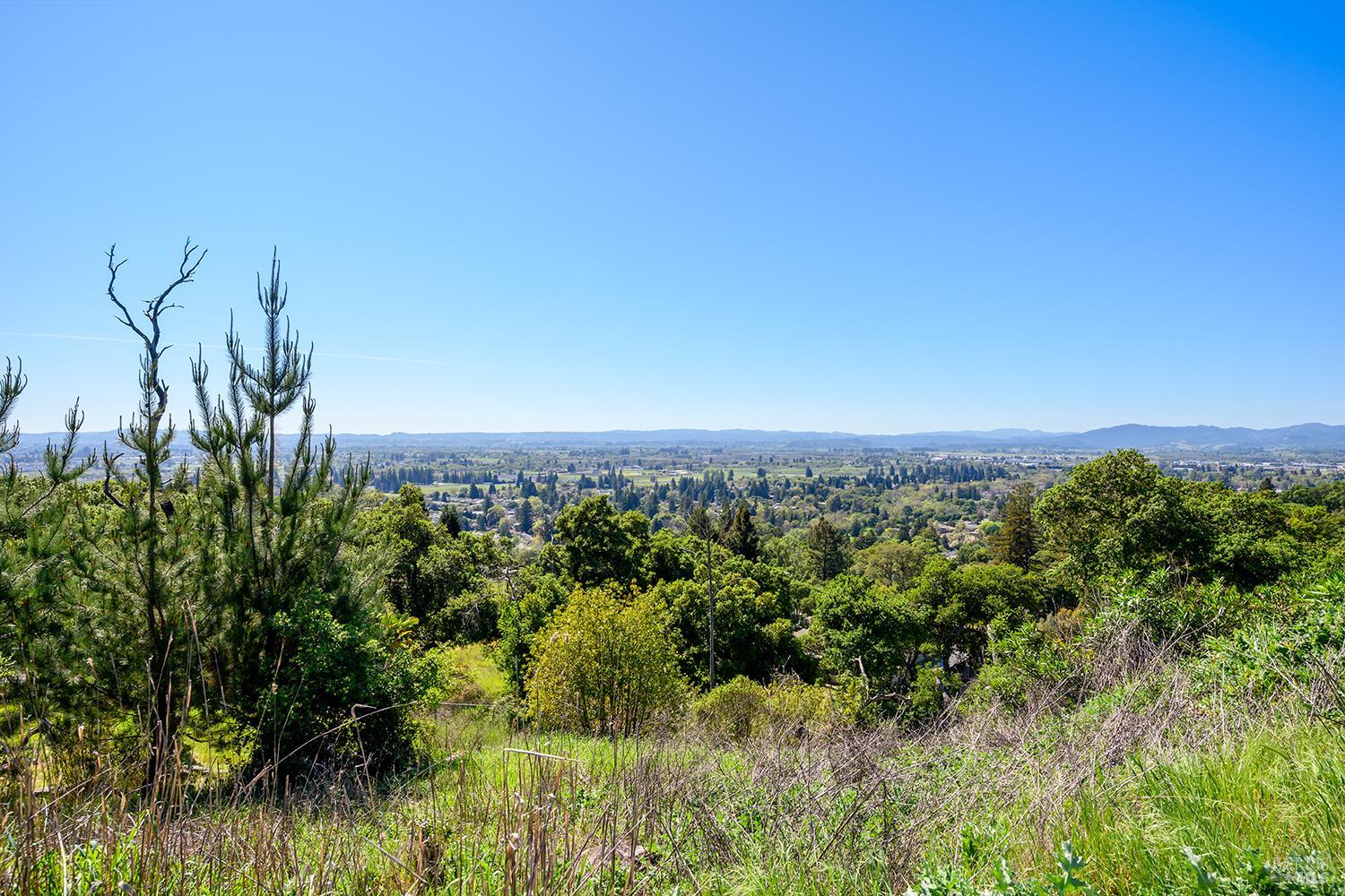 1111 Wikiup Drive Santa Rosa, CA 95403 - Photo 7 of 15 a view of a green field