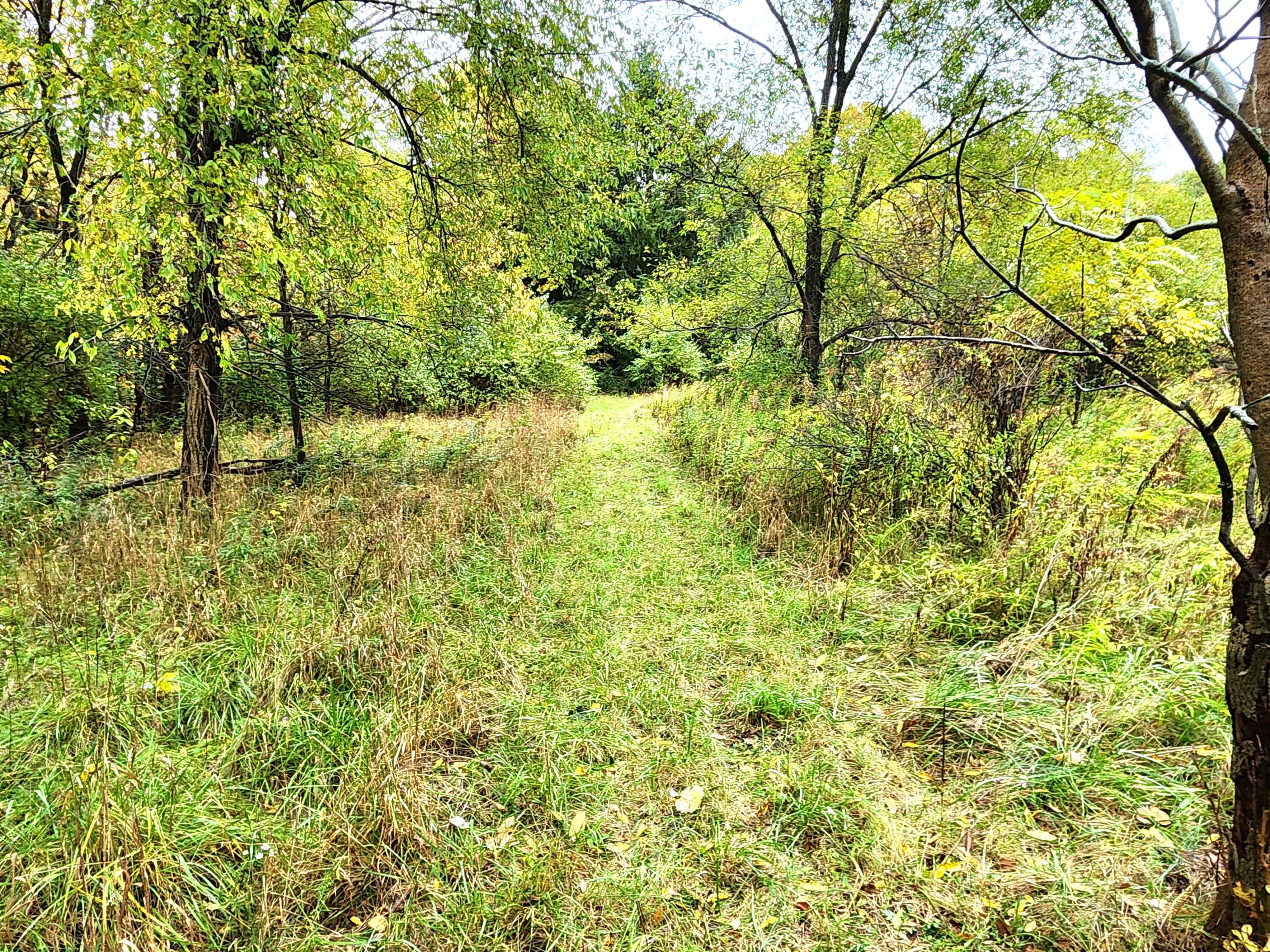 5170 Whitehall Road Muskegon, MI 49445 - Photo 17 of 21 Walking Trail