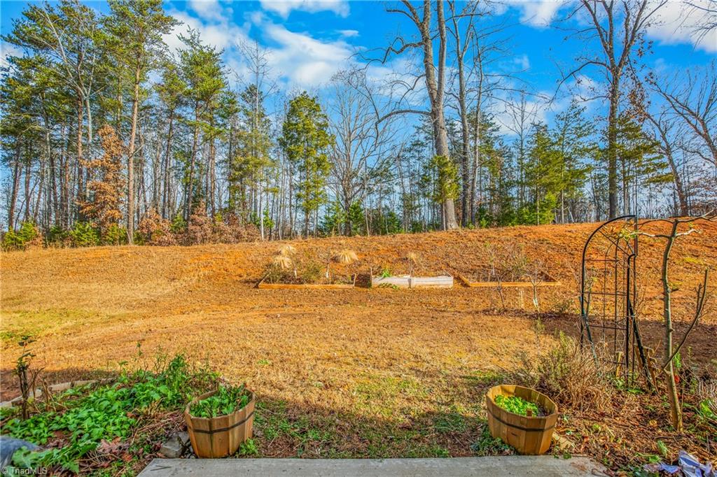 6729 Capstone Court Rural Hall, NC 27045 - Photo 33 of 38