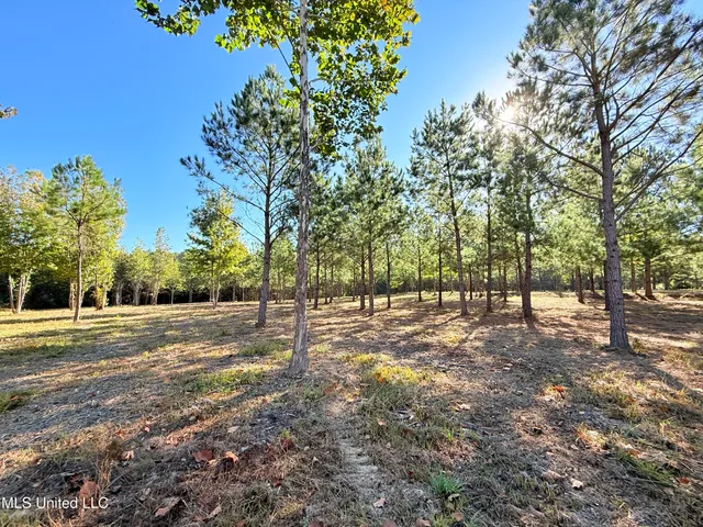 $199,000 | Stout Farms Drive, Canton, MS 39046