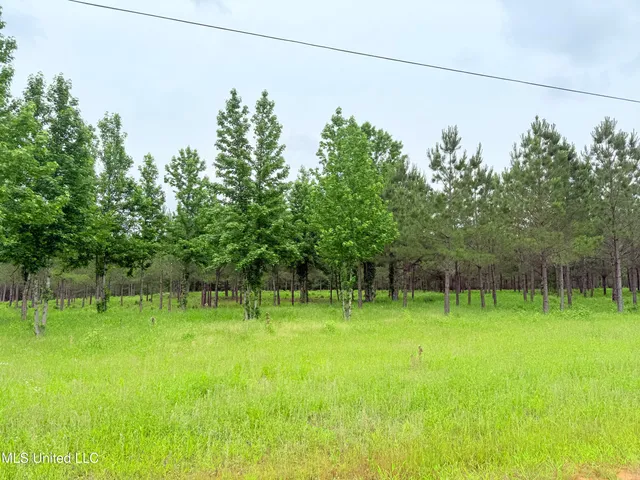 $199,000 | Stout Farms Drive, Canton, MS 39046