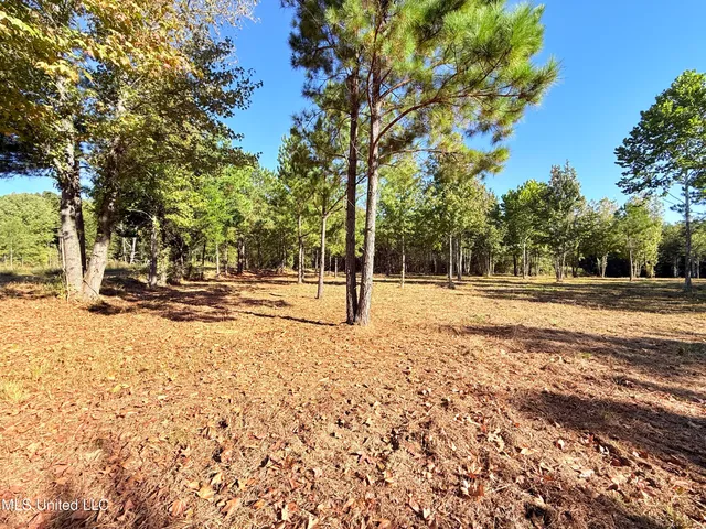 $199,000 | Stout Farms Drive, Canton, MS 39046