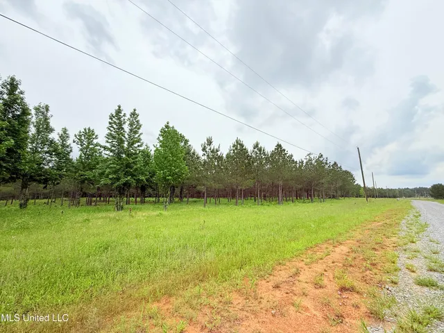 $199,000 | Stout Farms Drive, Canton, MS 39046
