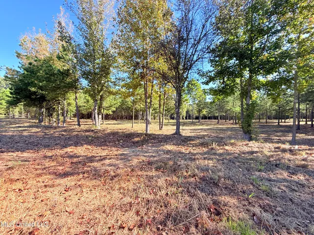 $199,000 | Stout Farms Drive, Canton, MS 39046