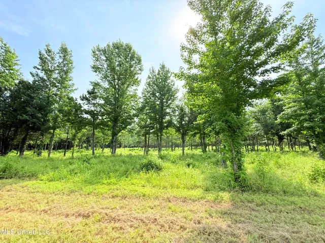 $199,000 | Stout Farms Drive, Canton, MS 39046