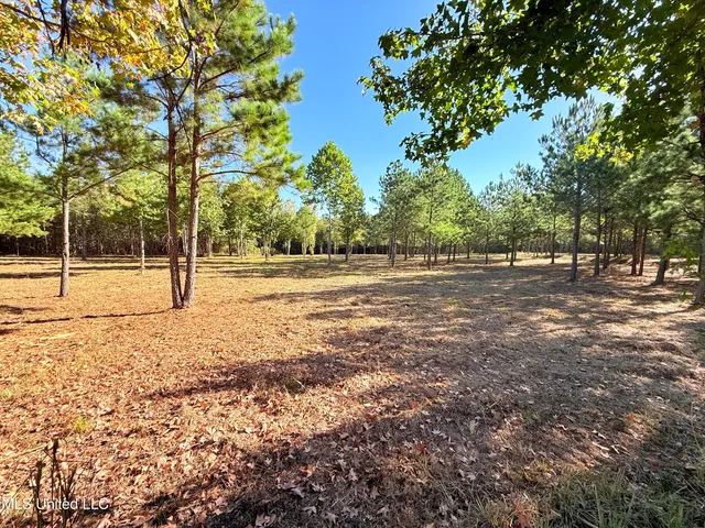 $199,000 | Stout Farms Drive, Canton, MS 39046